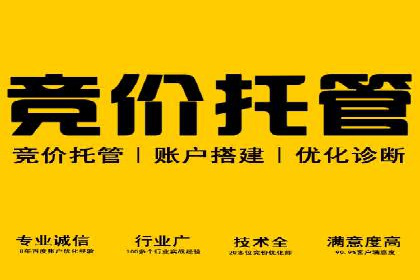 某行业领军企业的SEM广告投放策略